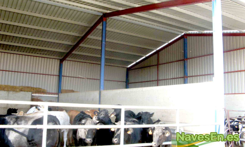 Tenemos disponibles todo tipo de naves en murcia